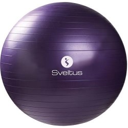 Ballon de Gym Sveltus -...